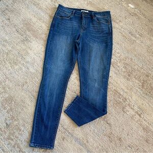 Unpublished Anthropologie Classic Blue Skinny Jeans Medium-Dark Wash: 30